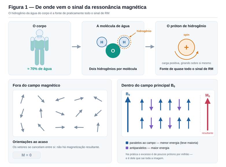 Esquema de alinhamento dos prótons e magnetização na RM